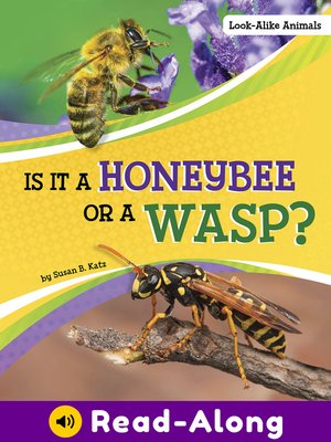 cover image of Is It a Honeybee or a Wasp?